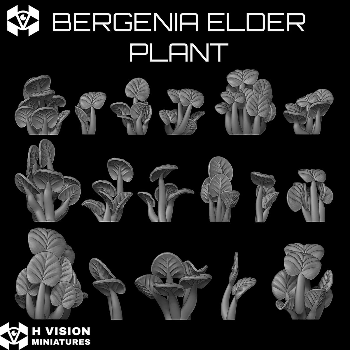Official H Vision Miniatures Bergenia Elder Plant render 2
