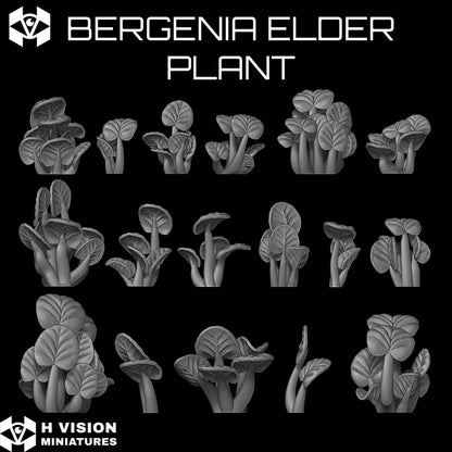 Official H Vision Miniatures Bergenia Elder Plant render 2