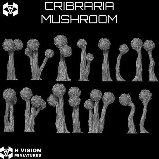 Official H Vision Miniatures Cribraria Mushroom render 2