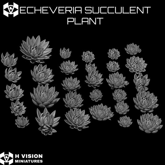Official H Vision Miniatures Echeveria Succulent Plant render 1