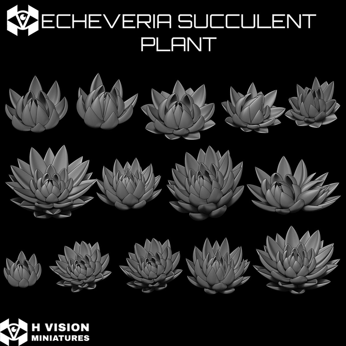 Official H Vision Miniatures Echeveria Succulent Plant render 2
