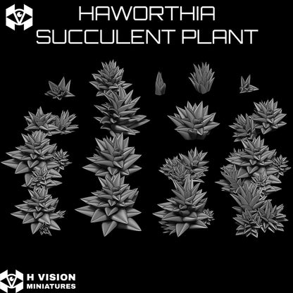 Official H Vision Miniatures Haworthia Succulent Plant render 1