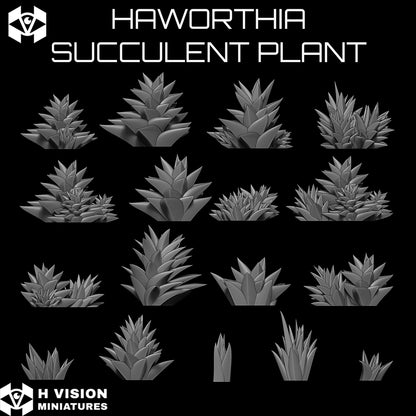 Official H Vision Miniatures Haworthia Succulent Plant render 2