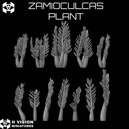 Official H Vision Miniatures Zamioculcas Plant render 3