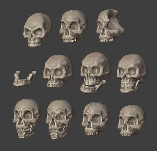 Human Skulls